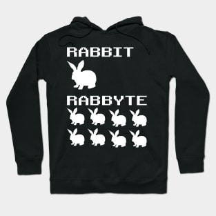 Funny Rabbit Rabbyte Programmer Computer Humor Hoodie